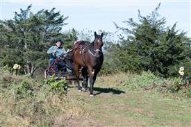 LR-WRF 10182025 Retreat-6436